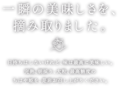 一瞬の美味しさを、摘み取りました。