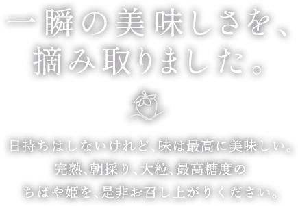 一瞬の美味しさを、摘み取りました。